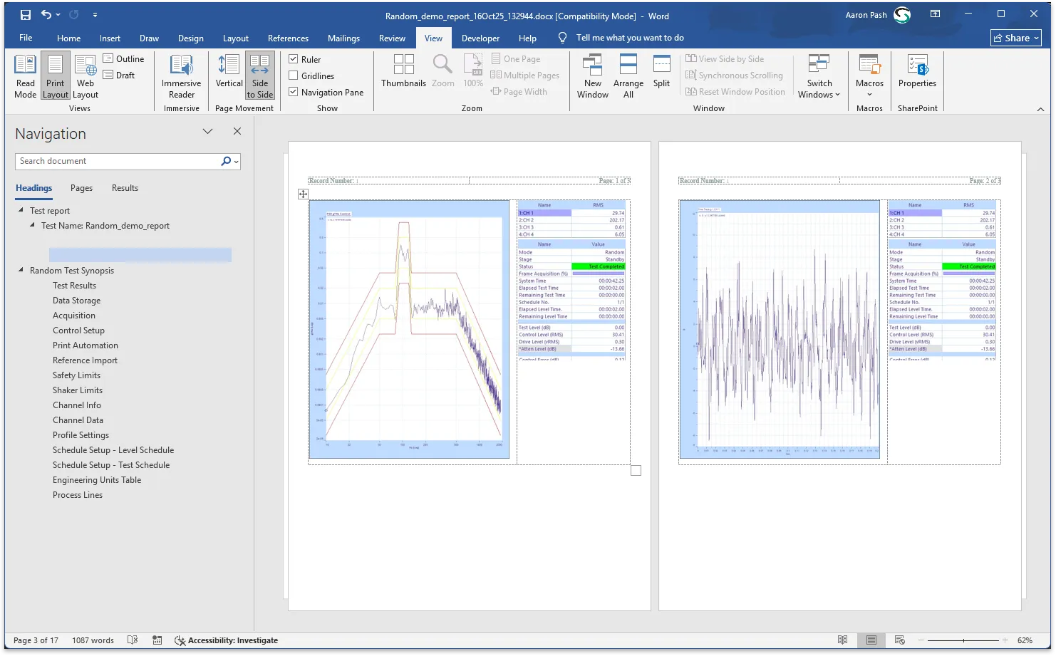 Microsoft Word Customize the Report's Output in Microsoft Word or Adobe PDF